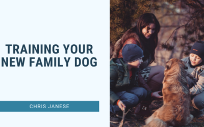 Training Your New Family Dog
