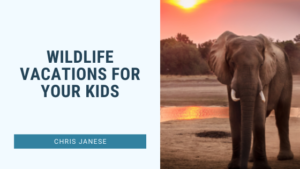 Wildlife Vacations For Your Kids