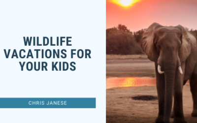Wildlife Vacations for Your Kids